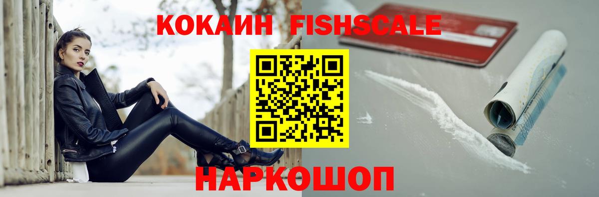 COCAIN Эквадор  Вход с VPN  Кокаин  Заводоуковск  Кокаин Fish Scale 