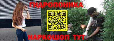 прущие грибы Заводоуковск