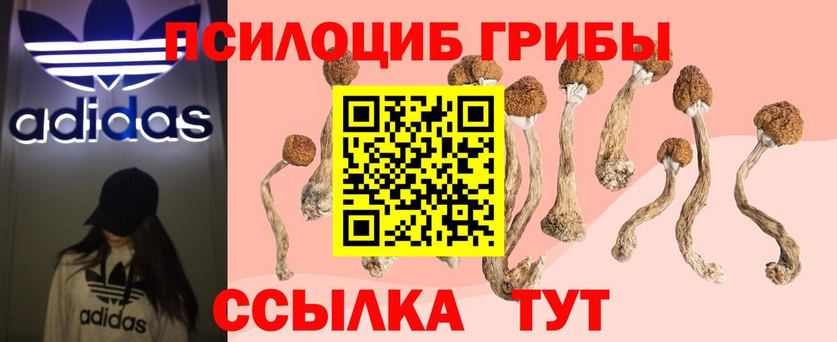 Заводоуковск  Галлюциногенные грибы мицелий  Вход с VPN 